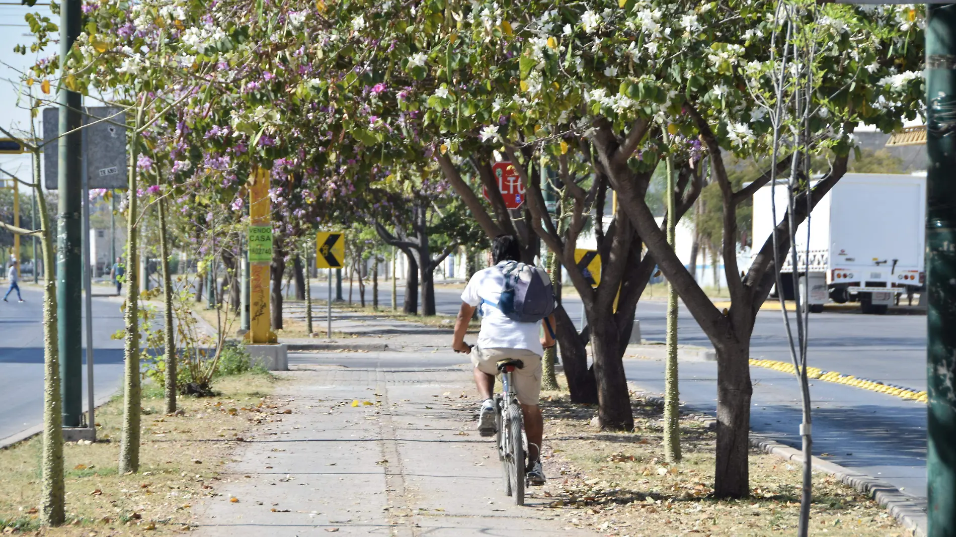 f carmona ciclovia (3)